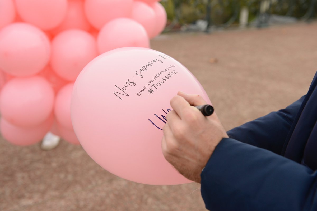 TellementLà tweet media