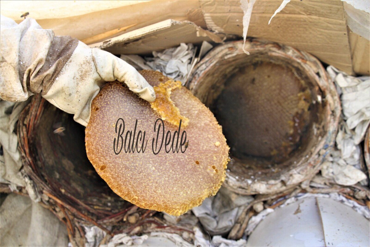 Yeni Sezon Kaya Balımız Geldi.

Bal bizim işimiz,

Çünkü biz arıcıyız...

@FeritBtu <a href="/fturkanca/">F.T</a> <a href="/_flyone/">FlyONE®  🎬🚁</a> <a href="/EmrahAkcay59/">Emrah Akçay, PhD.🇹🇷</a> <a href="/BilalEmreYoruk/">Bilal Emre YÖRÜK 🇹🇷</a> <a href="/gamzeelyigit/">Gamze ELYİĞİT</a> @Seyyid_Han @syavuzer6565 @abdlh_Karakas @CengidostM <a href="/IpekyoluTarim/">İPEKYOLU TARIM VE ORMAN MÜDÜRLÜĞÜ</a> <a href="/piskin_engin/">Engin pişkin</a> <a href="/eerencakir/">Eren Ç</a> @diyarbakirdt <a href="/azizorek/">Aziz ÖREK</a> @Leylkyc