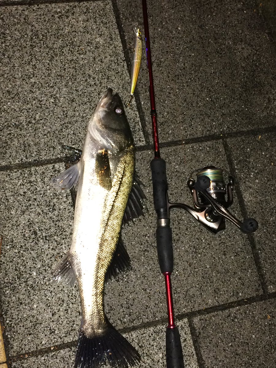 ささくれp ダイソー シーバス バス ダイソールアーとコンバットバイブレーション サイズは50ちょい ダイソールアーなかなかやるな