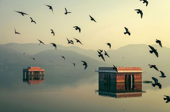 Jal Mahal. Así se llama este palacio acuático que se encuentra, desde el siglo XVIII, en el lago de Man Sagar, en Jaipur. Esta peculiar construcción posee cinco pisos, de los cuales cuatro quedan bajo el nivel del agua cuando este llega al máximo ( Alamy) #travel #instatrav