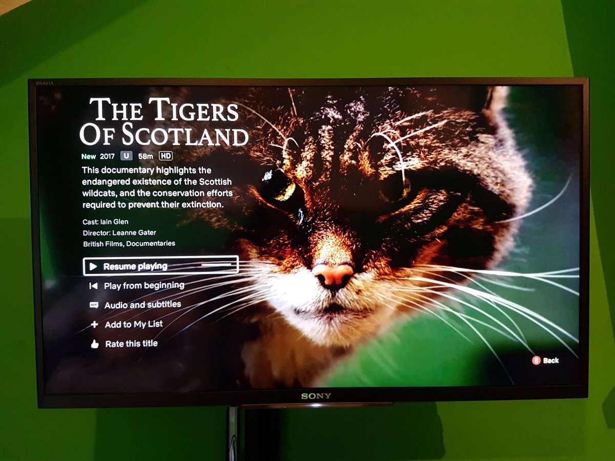 Tigers_Scotland's tweet photo. We're live on @netflix in #America, #Canada, #Australia and the #UnitedKingdom! Don't forget to tell your family and friends - and if you like the film, please rate us 👍

#ScottishWildcat #WildcatsonNetflix #CatsOfTwitter #Netflix https://t.co/XNmWVFWkAX