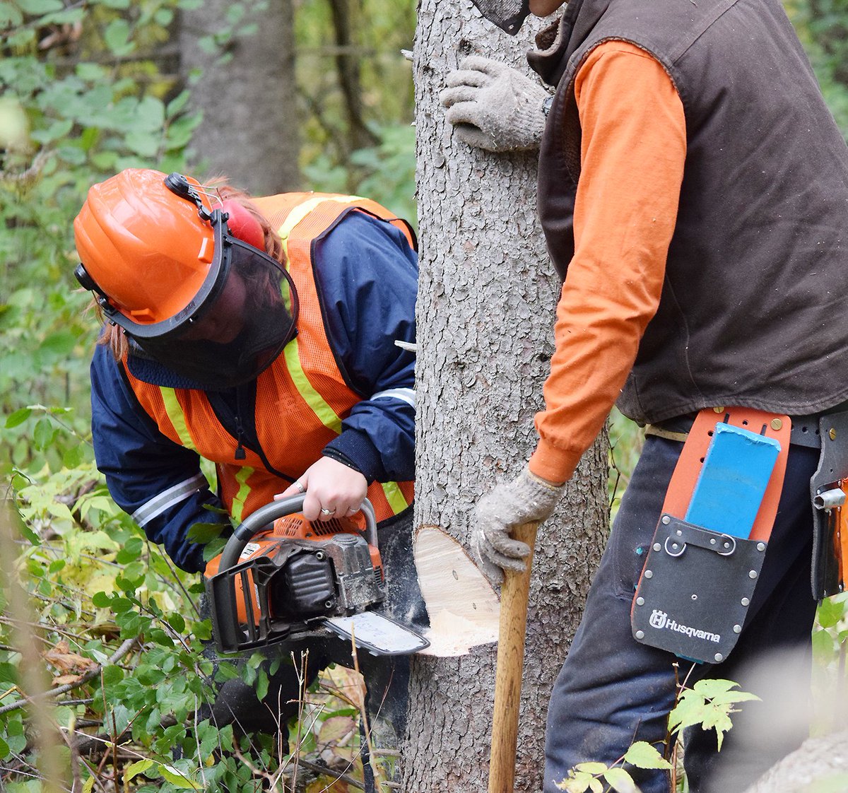 EssexWestford's tweet photo. .@CTEforTech Forestry students took part in a chainsaw training on October 22. By participating, students earned an industry recognized credential and the clearance to compete in the  Tech School Game of Logging competition, which will take place in the spring. #EWSD https://t.co/jqy3MCPYxc
