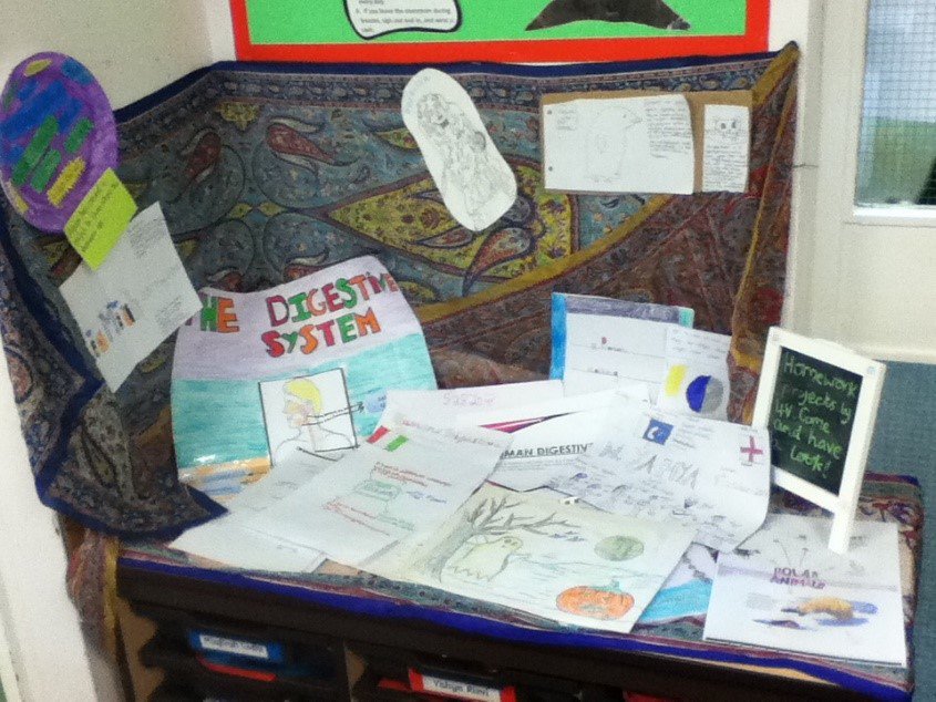 Look at our amazing Homework Projects on the Romans and Polar Adventure ...
