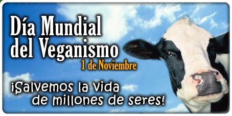 JEM_Celeste's tweet photo. Porque ser vegano no es una moda más, no es una dieta, sino que es una forma de ver la vida. Porque ellos quizás no tengan la capacidad de hablar nuestro idioma, pero sí la capacidad de sentir y sufrir. #felizdiamundialdelveganismo 💚 https://t.co/t2eVy2yVwV