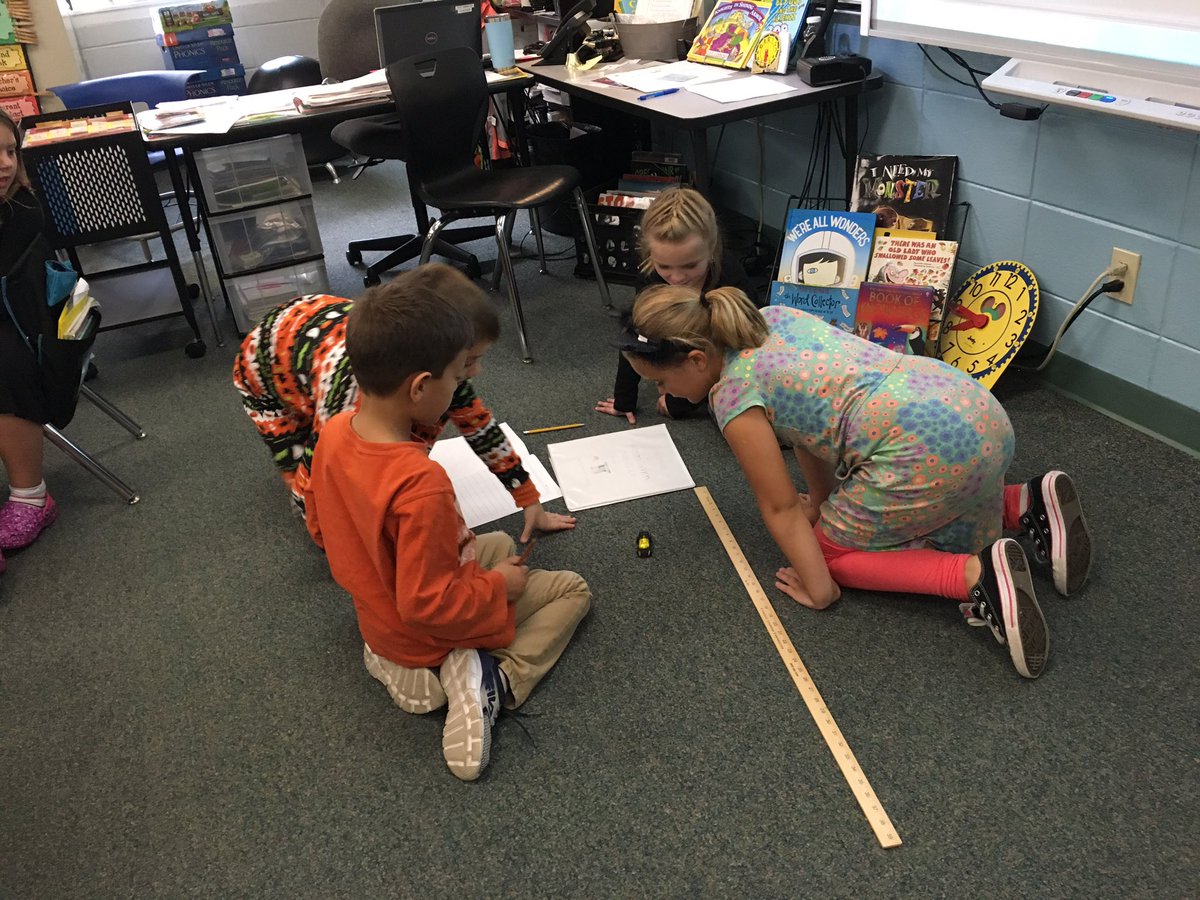 Anne Scheck tweet media