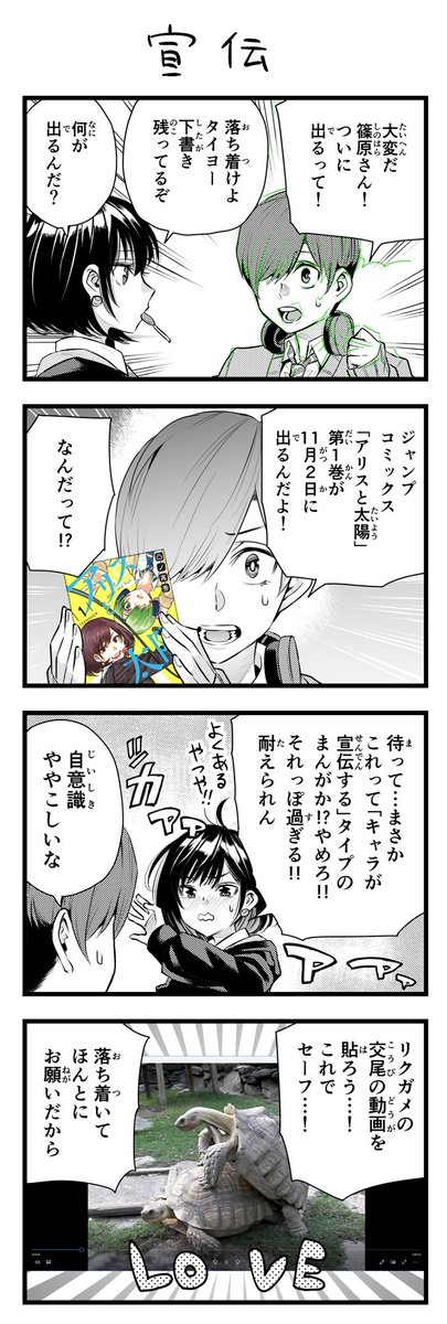 凸ノ高秀 このリクガメの交尾の動画は僕が実際に長崎バイオパークで撮影したものです 初回購入特典として配布します しません
