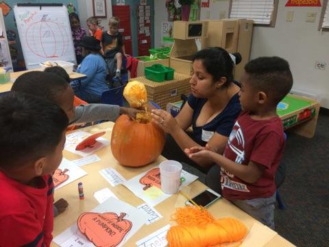 debbyschmucker's tweet image. Love my parents and their support of their child's learning. Pumpkin day was tons of fun! 
#sinkfloat #whatsinsideapumpkin #eatingpumpkinstasteyummy #howdotheygrow #survivinghalloween
#rockwallisdprek @CLP_Elementary
