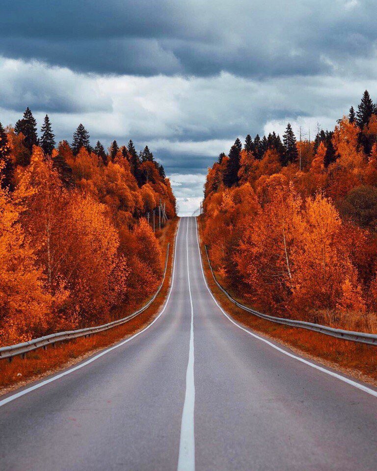 WorldAsthetic tweet picture