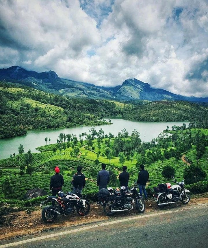 AjoJose2's tweet photo. #Munnar #hillstation #beautifulmunnar #Keralatourism #exploremunnar #mdm #leafmunnar #wildlife #trukking #sightseeing https://t.co/r6ewC3hJZv