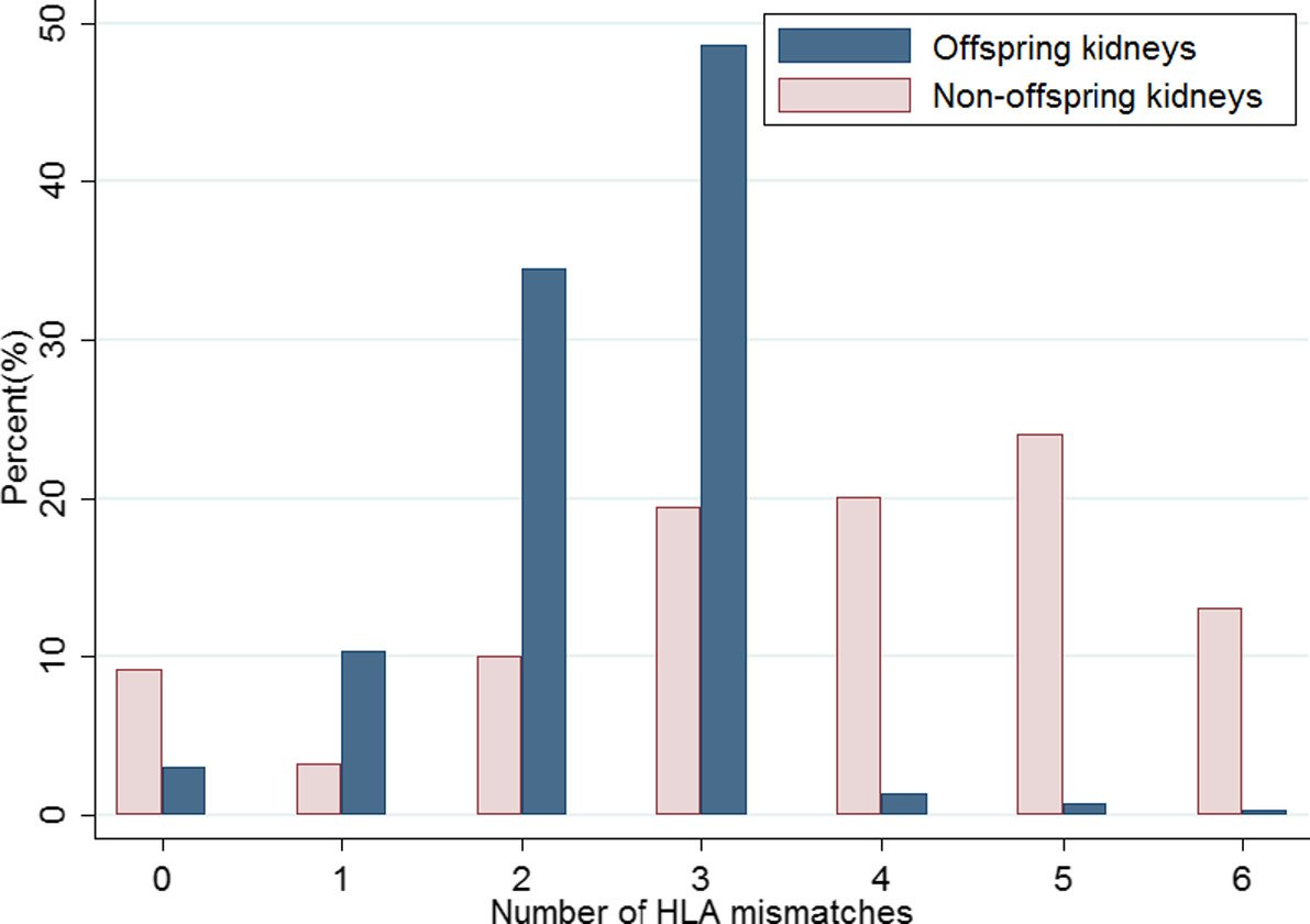 Better graft outcomes from offspring #donor #kidneys among living donor kidney #transplant recipients in the US by  <a href="/cmholscher/">Courtenay Holscher</a> et al ow.ly/XwKj50jx110  <a href="/ERGOT_JH/">ERGOT @Johns Hopkins</a>