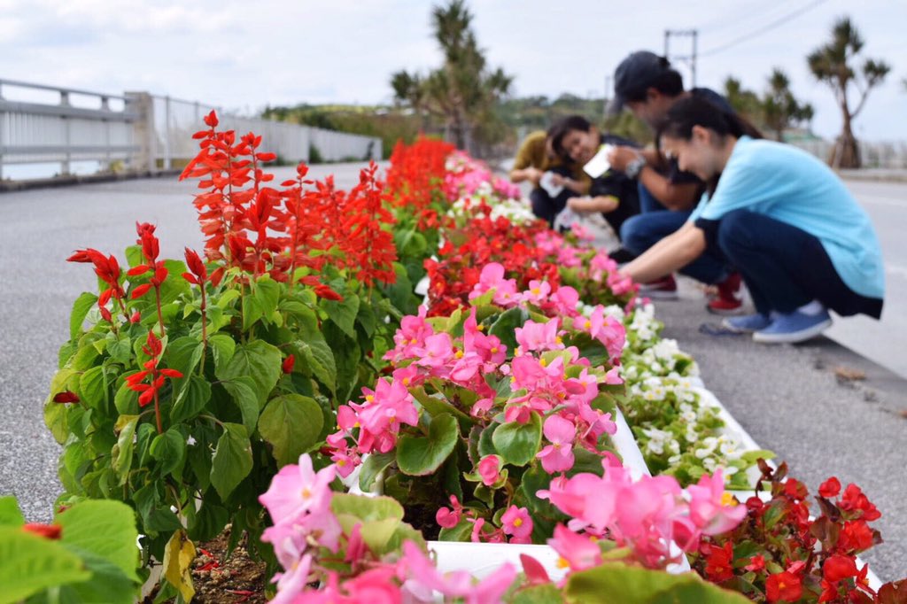 kankouBlooming's tweet photo. 今日は、瀬長島入り口を花で彩ってきました🌺
ここまでこれたのも、皆様の暖かいご支援ご協力のおかげです。ありがとうございます☺️‼️
本日から1ヶ月間お花を飾り、
景観価値をはかるためにアンケート&統計調査を行います!!
機会があれば、見に来てくださいね🌺
#bloomingproject https://t.co/Qk7FQw9SpN