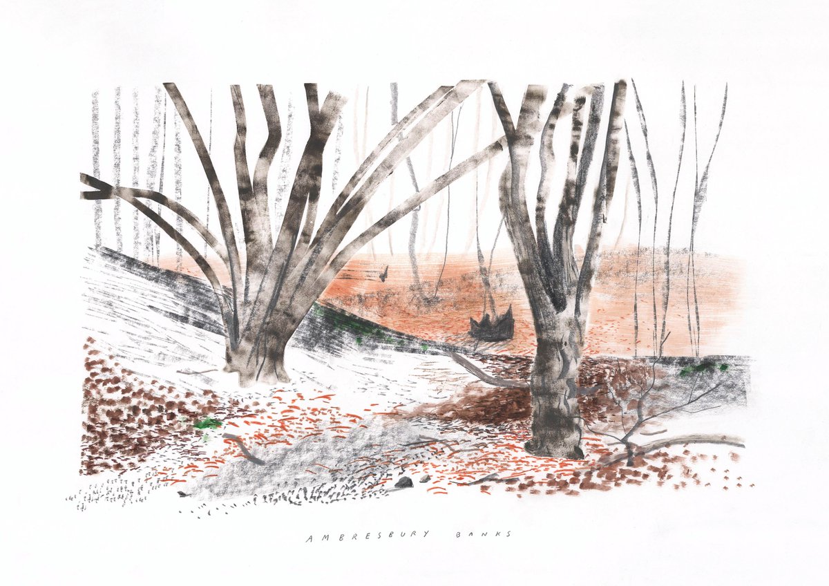 RachelMLillie's tweet photo. My exhibition 'The In-Between: An Ode to Epping Forest' is now down! @VestryHouse @WFculture19 I'd like to say a big THANK YOU to everyone who took the time to visit and share your wonderful thoughts and stories about the forest. Watch this space for more forest inspired work... https://t.co/amHUSjYwv7