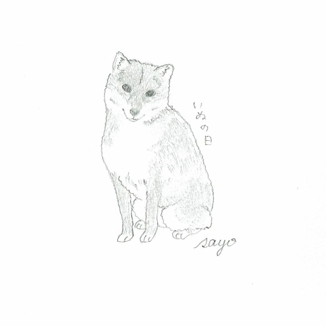 Sayo Skm 猫描き修行中 犬の日 猫っぽくなりましたなぜなの 犬 おすわり犬 柴犬 猫 イラスト 猫の イラスト Drawing Cat イラスト猫 おすわり猫