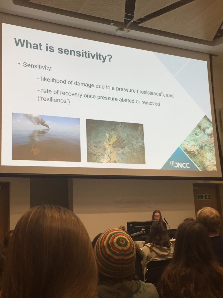 Was great to present my work on #deepsea sensitivity assessments at #MASTSASM18 yesterday during the #MultipleStressors session! #marine #habitats