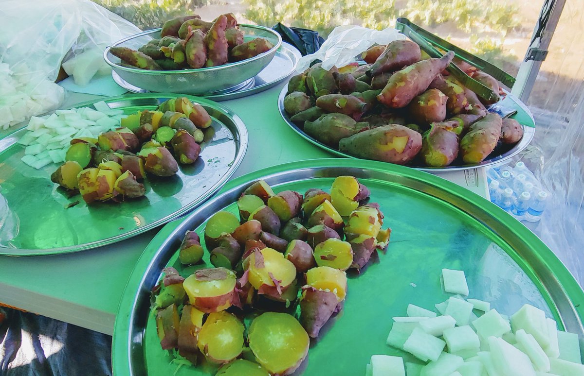 daejiggum's tweet image. 4일간 
#성남시 관내 천여명의 아이들이  #성남시민농원_농사체험장을 찾아 가을에 수확한 꿀고구마와 시~원한 무를 맛보고 체험장을 신나게 누비며 #무수확체험 을 했습니다. 

내년에 더 건강한 먹거리로 또 만나요~

#성남시농업기술센터
#텃밭지도사
#도시농업관리사
#공공근로 #지역공동체일자리