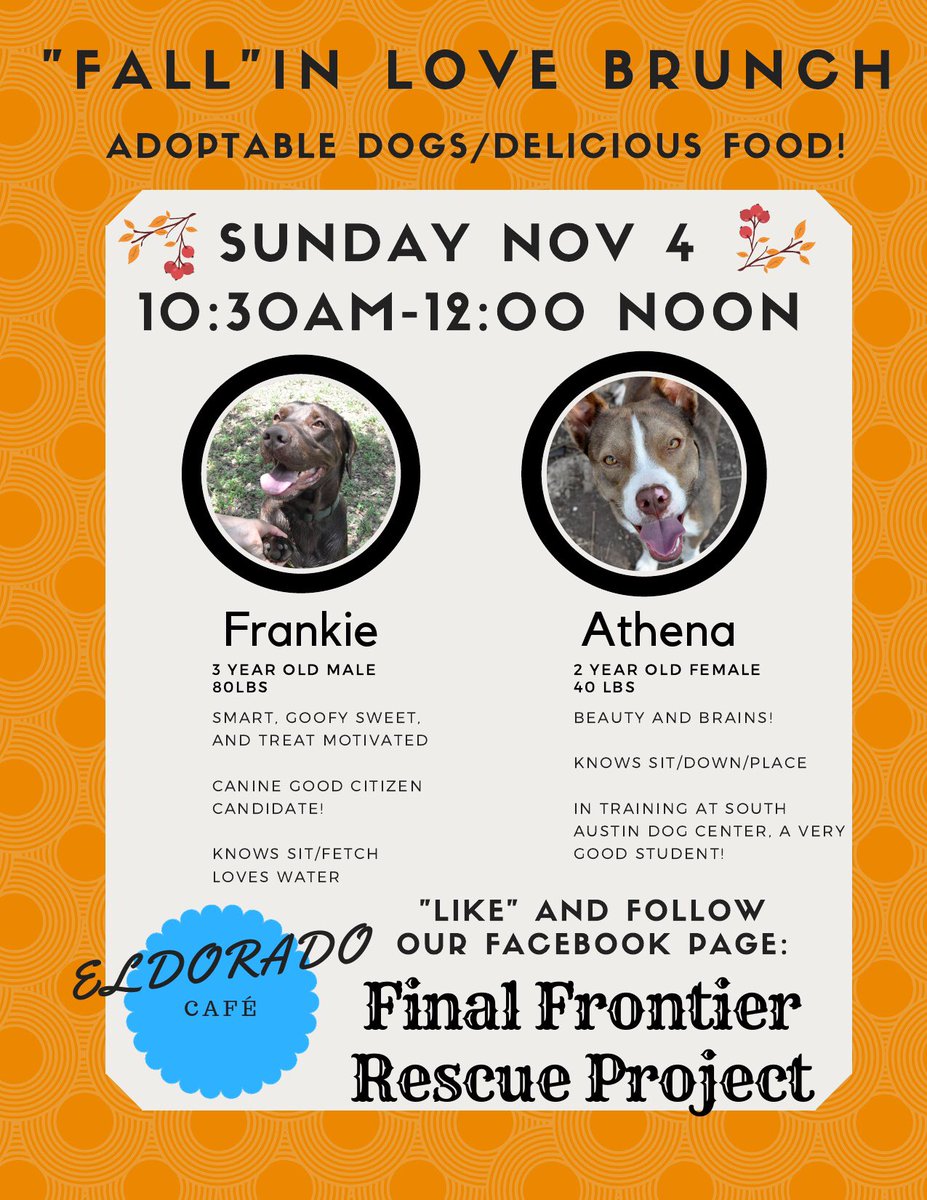 Come meet these beauties. #eldoradocafeatx #finalfrontierrescue