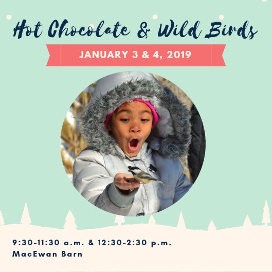 yourriverwood's tweet photo. Registration is now open for our popular Hot Chocolate &amp; Wild Birds family programs, taking place January 3 &amp; 4. Come hike the trails at Riverwood, hand-feed chickadees, create seasonal crafts and sip on hot chocolate - all for free! Sign up today: https://t.co/Y0mIzMktR7 https://t.co/hh7Yj4gOOF