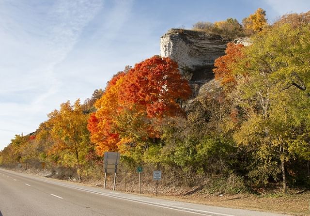 VisitAlton's tweet photo. The fall colors are near 80%! This weekend will be the perfect time to go on a relaxing drive along the Meeting of the Great Rivers National Scenic Byway! https://t.co/Fq4Vvfp1Bj
.
#FallinIllinois #VisitAlton #ExploreGreatRivers #EnjoyIllinois https://t.co/WQiY2bEr7B