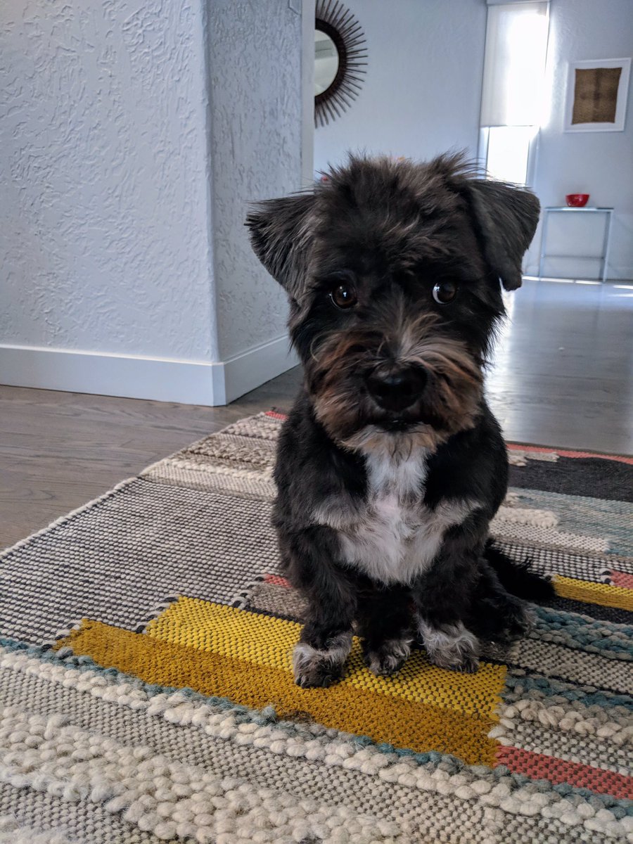 Stop. It. So. Cute. #OnlyNaturalPet