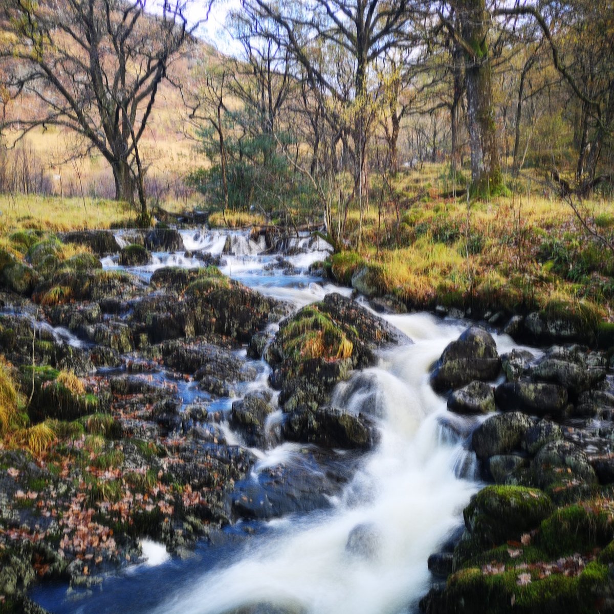 Nice stroll on an autumn day