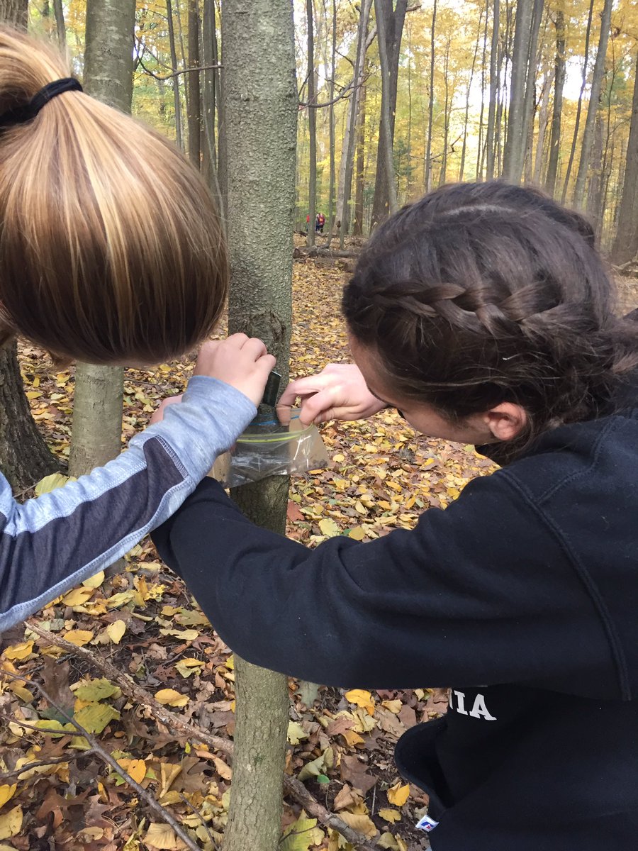doclambi's tweet photo. Our middle schoolers hard at work getting rid of invasive species at Nolde. #gmms #environmentalforum https://t.co/gjd5LltjQZ