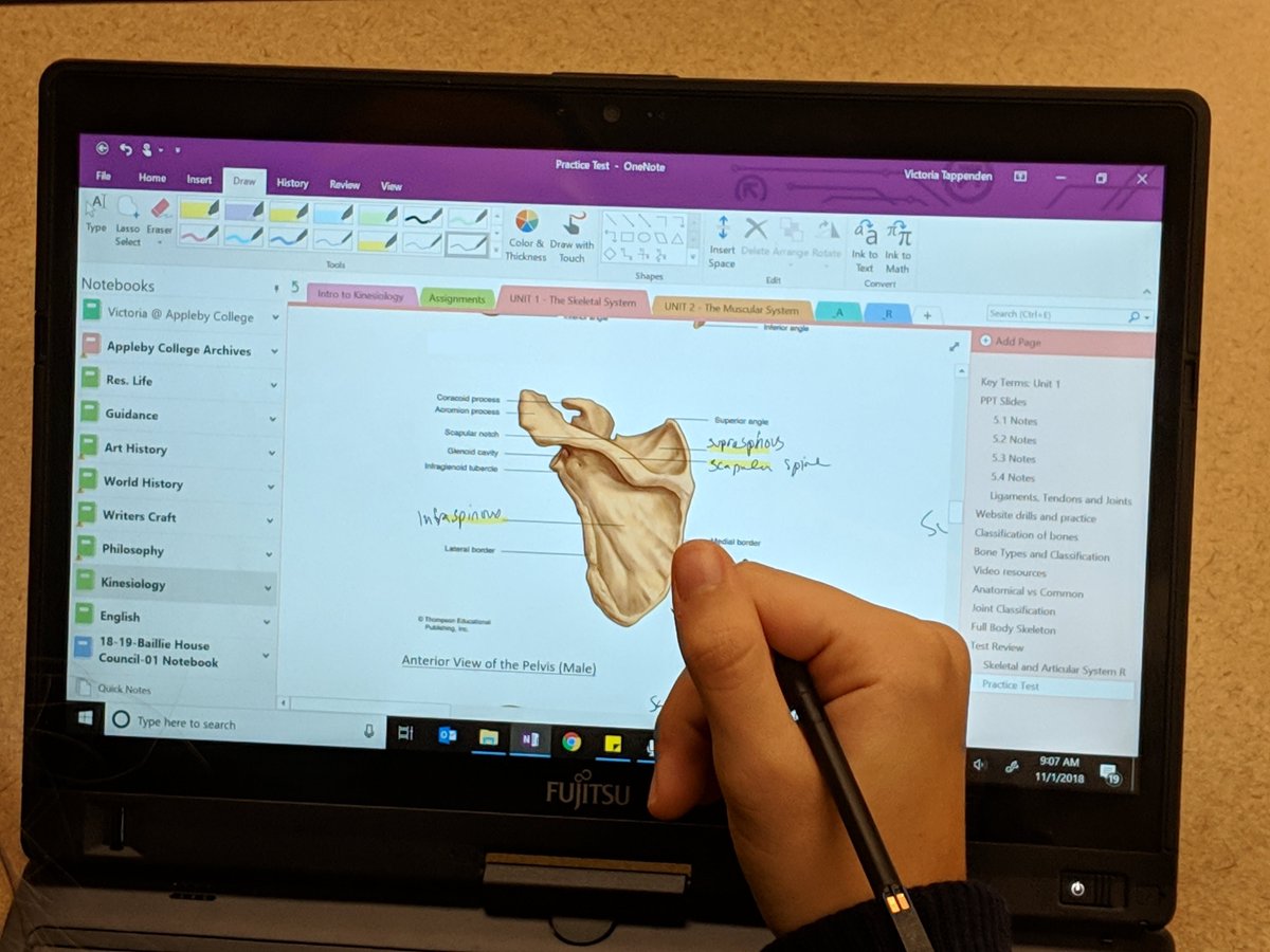 calarmstrong's tweet image. Dropped by a Kinesiology class today -- #digitalink is helpful when working with bones, muscles &amp;amp; ligaments in #OneNote ... they&apos;re about to Take-A-Test in a secure #MicrosoftForm on this topic.  #MIEExpert