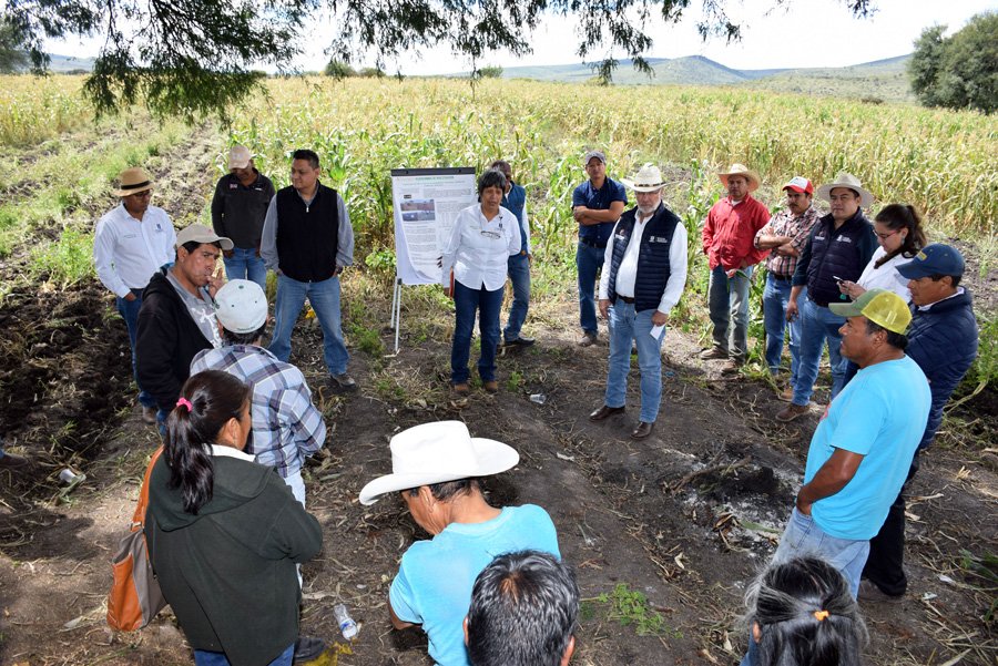 La <a href="/SedeaQro/">SEDEA</a> y el <a href="/CIMMYT/">CIMMYT</a>  fortalecen los sistemas agroalimentarios en Querétaro
#MasAgroQuerétaro
ow.ly/OtQz30mrZNh
<a href="/MasAgroQro/">MasAgro Querétaro</a> <a href="/gobqro/">Gobierno del Estado de Querétaro</a> <a href="/HubBajio/">Hub Bajío</a> <a href="/GerenciaBajio/">silvia hernández</a>