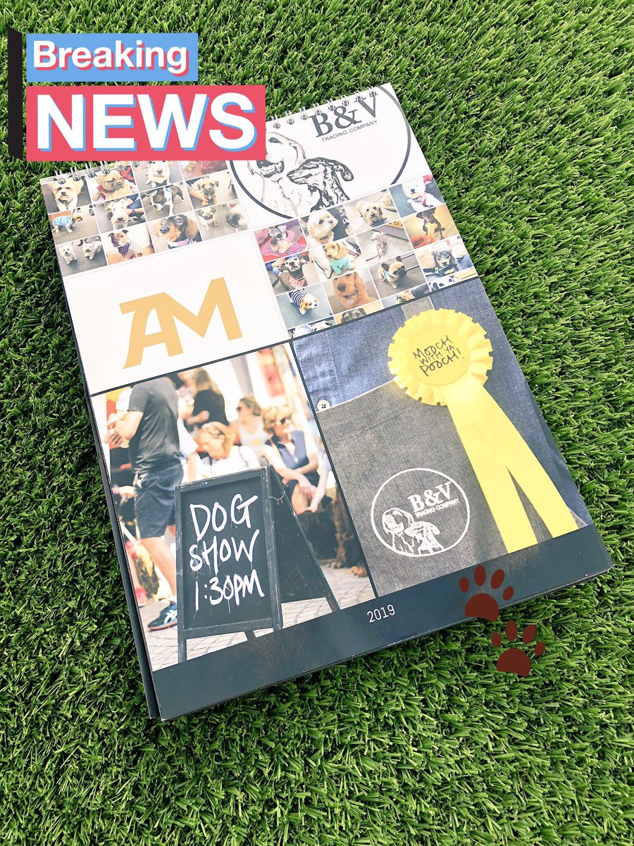 bandvtrading's tweet photo. Do you like cute #dogs? Do like knowing what day it is? We’ve got the pawfect gift for you! The official #moochwithyapooch #Calendar is now available to order (£10) all profits going to @reverseRett come down & order yours at the fabulous & #dogfriendly @altrinchammkt NOW 🐾 https://t.co/Rkcz9qVeDl