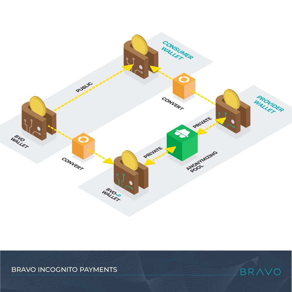 "BRAVO has created a solution that allows users to utilize an option for anonymous payment + also the option for a lower fee public payment. Make no mistake, this process is for the those who prefer to keep their personal details undisclosed"

medium.com/@tehMoonwalker…

@Bravo_Pay