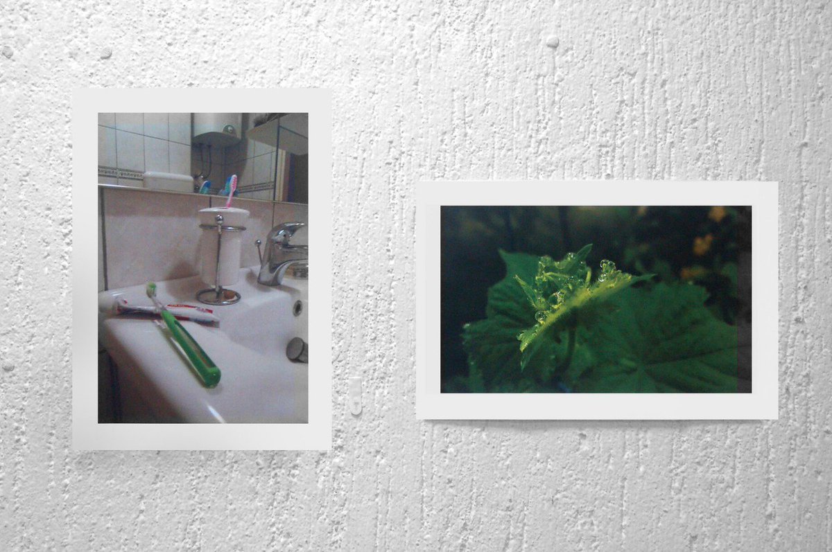cdr_studio's tweet photo. During her 6 month internship with @PCRCBiH, @jcl_leigh_b collaborated with @Project1948 on a photo-voice project to raise awareness of Bosnia and Herzegovina's Water Woes through the youth's eyes. She will attend the UN Women's Commission on the Status of Women 2019 in NYC. https://t.co/AfmYWej4MJ