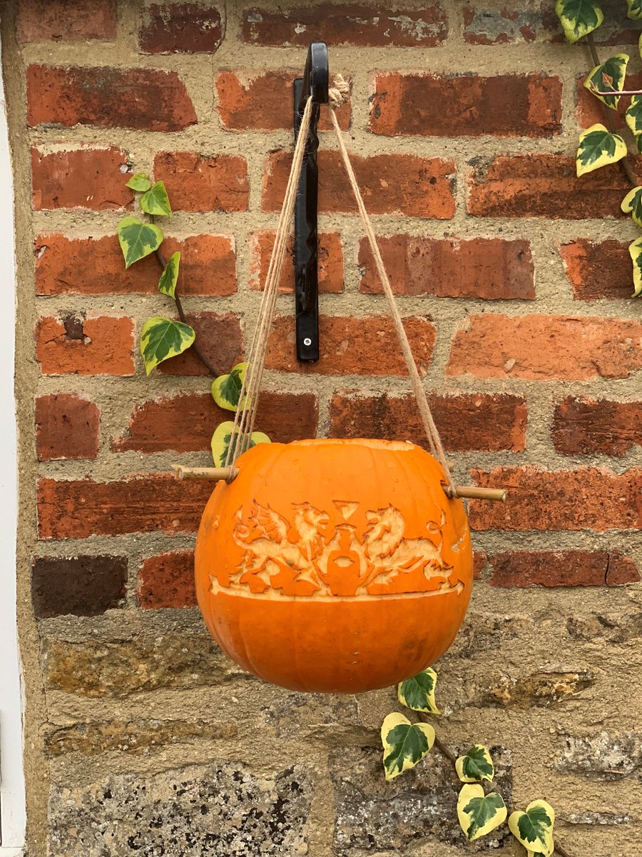 warnersgin's tweet photo. We’ve got a great way you can help local wildlife using your leftover pumpkins! Check out our blog post showing how you can transform your pumpkin into a birdfeeder to pop in your garden: https://t.co/AxFLyM4UKz #Halloween #CraftedwithNature #UnitedinSpirit #Upcycle #Reuse https://t.co/Ox8wXPHVft