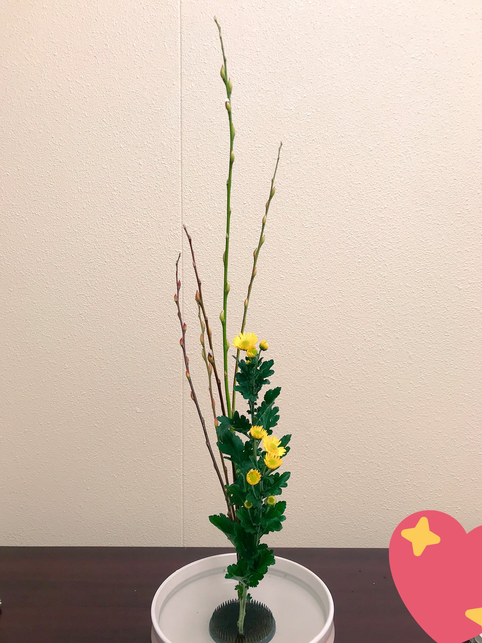 長崎大学華道部 今日のお稽古は 自由花がガーベラをメインに フトイでいろんな形を作ってみたり オーニソの面白い形を活かして 生けてみました お生花は アカメヤナギと小菊の2種生けでした 池坊 華道 自由花 お生花 長大 長崎大学
