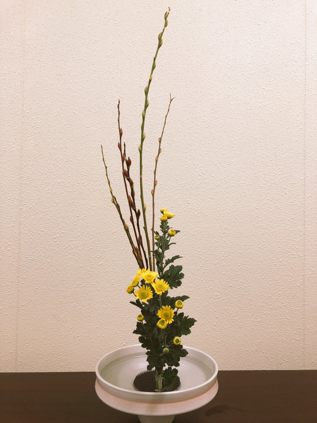 長崎大学華道部 今日のお稽古は 自由花がガーベラをメインに フトイでいろんな形を作ってみたり オーニソの面白い形を活かして 生けてみました お生花は アカメヤナギと小菊の2種生けでした 池坊 華道 自由花 お生花 長大 長崎大学