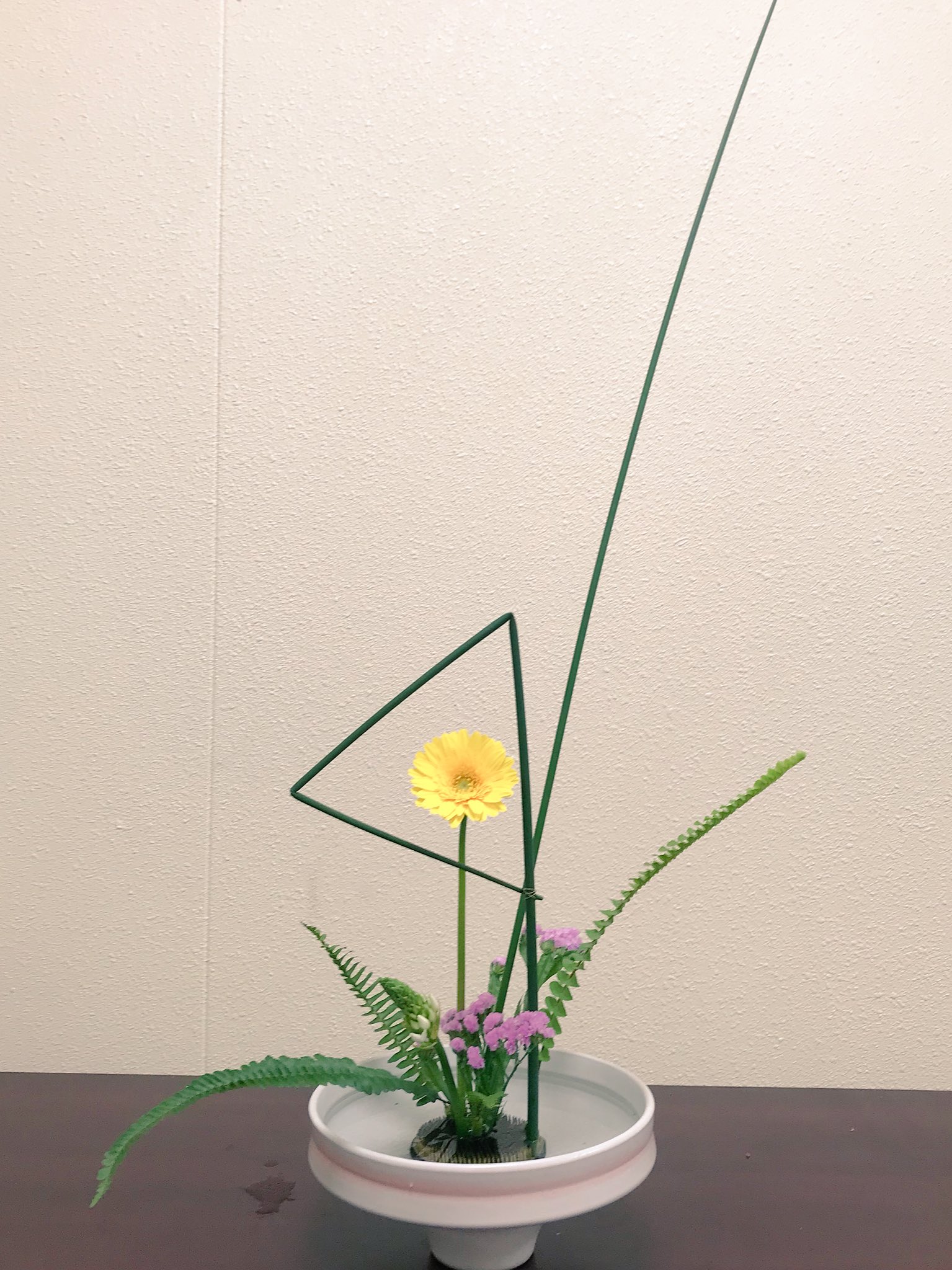 長崎大学華道部 今日のお稽古は 自由花がガーベラをメインに フトイでいろんな形を作ってみたり オーニソの面白い形を活かして 生けてみました お生花は アカメヤナギと小菊の2種生けでした 池坊 華道 自由花 お生花 長大 長崎大学 長崎大学華道部 今日のお稽古は 自由花がガーベラをメインに フトイでいろんな形を作ってみたり オーニソの面白い形を活かして 生けてみました お生花は アカメヤナギと小菊の2種生けでした 池坊 華道 自由花 お生花 長大 長崎大学