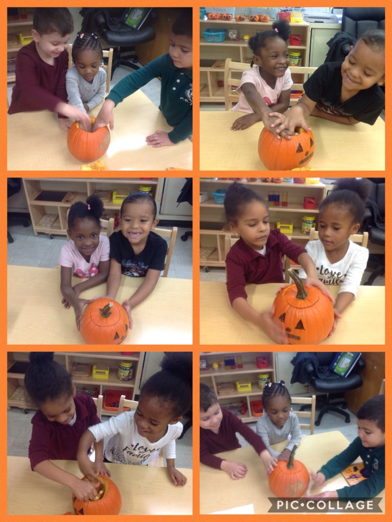 Exploring different textures of a pumpkin by using our sense of touch#76