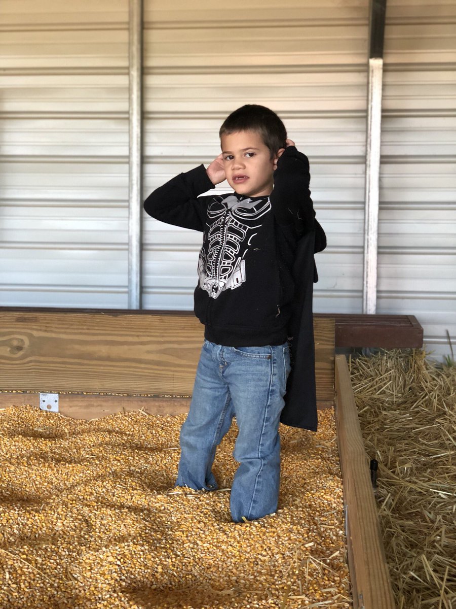 HerrinMrs's tweet photo. Wise Acres was a great Halloween field trip! Thanks for sharing your farm with us. #teamucps @FairviewES_NC @UCPS_MonroeNC https://t.co/BxCCz9t870