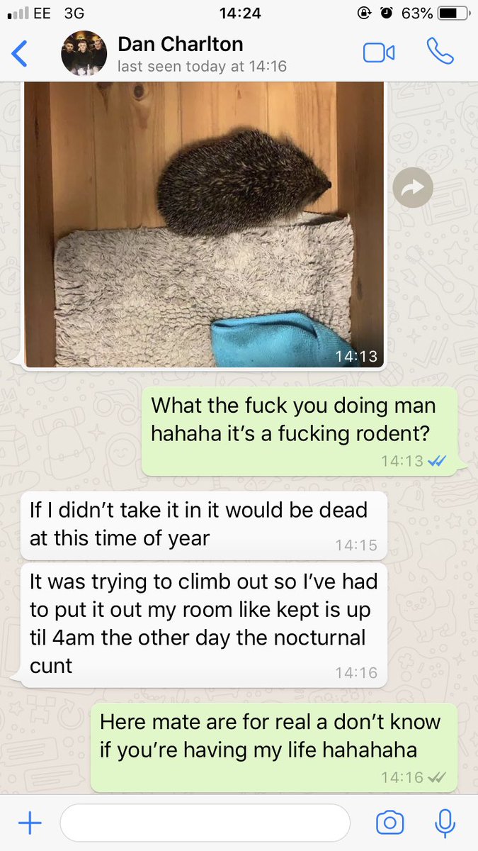 Here, this surely isn’t normal behaviour like?