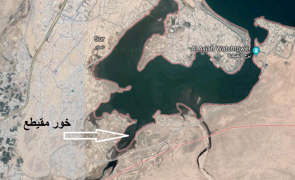 الصورة