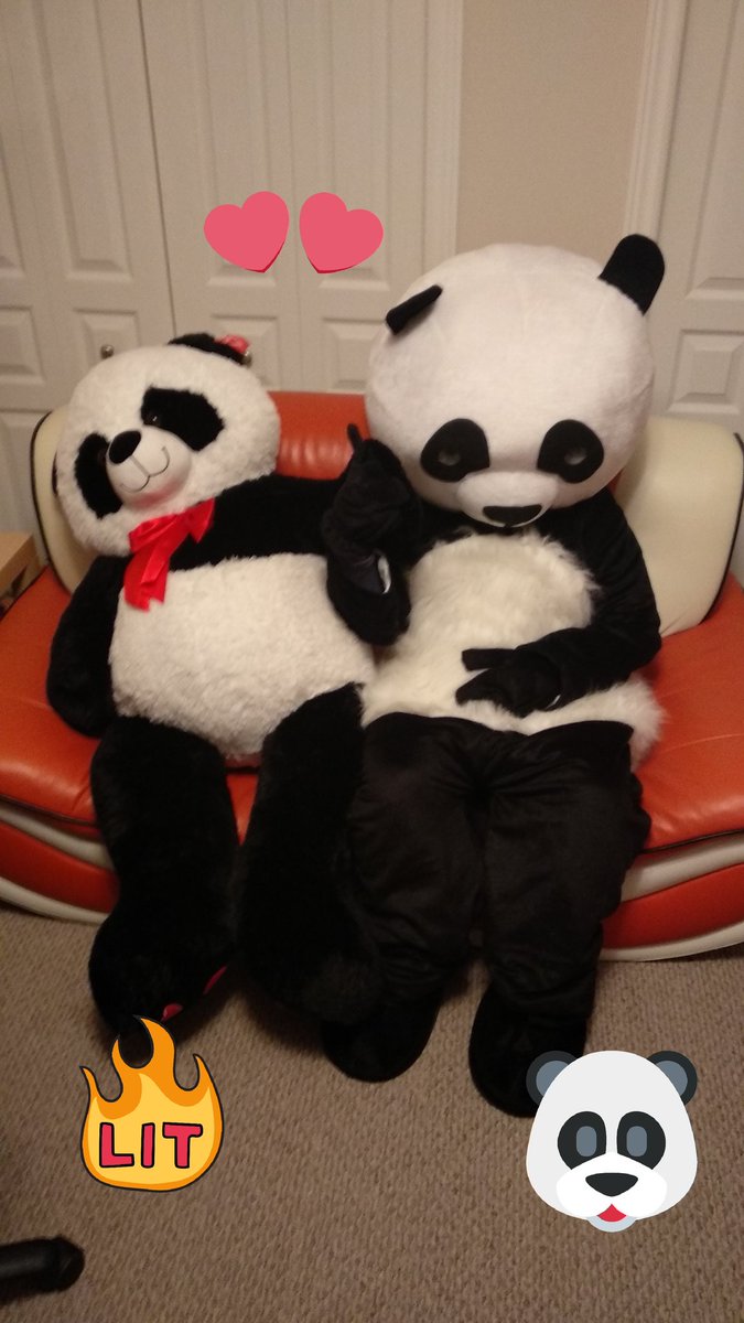 PNDpopcornpants's tweet photo. Halloween buddies! They decided to be each other for Halloween 🤦🏼‍♂️ #LoveMyHooman https://t.co/xLWnB7kzsI