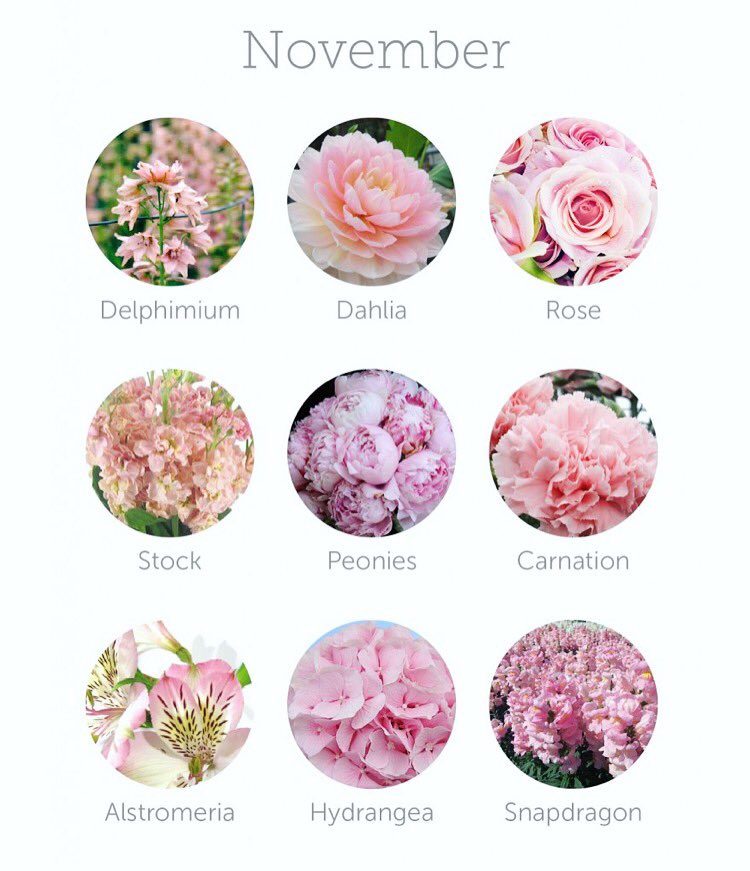 bloommoments's tweet photo. November is here. Happy new month. 61days more and bye 2018. The year so far.... lots of lessons and growth 🤗 #november #eventsgh #ghana #weddings #africansweetheartweddings #everythingwedding #events #idoghana https://t.co/SqV8F4RPA3