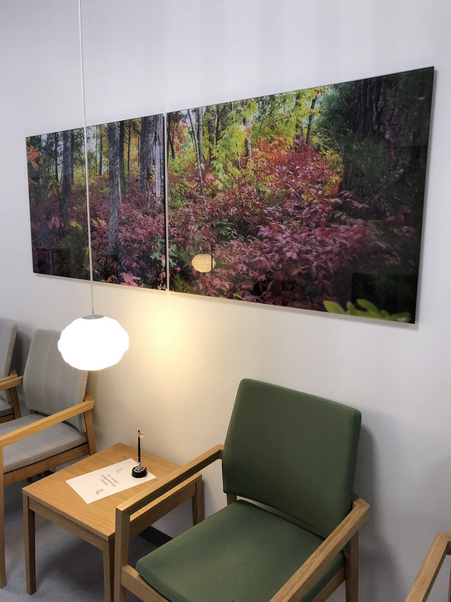 Eva Zeuthen Bentsen (@evazeuthen) on Twitter photo Danmark pæneste venteværelse! #gentoftehospital #patientomsorg #æstetik #regionh og tak <a href="/BorkKirsten/">Kirsten Bork</a> mfl Danmark pæneste venteværelse! #gentoftehospital #patientomsorg #æstetik #regionh og tak <a href="/BorkKirsten/">Kirsten Bork</a> mfl
