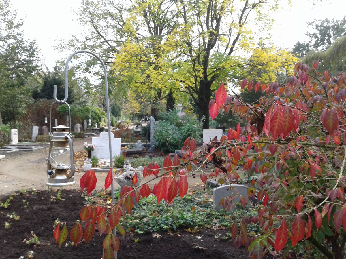 EssiALaine's tweet photo. Via werk kom ik op prachtige locaties; hier de herfstkleuren op begraafplaats Zorgvlied in Amsterdam #herfst #natuur https://t.co/xxEsWyrg7E