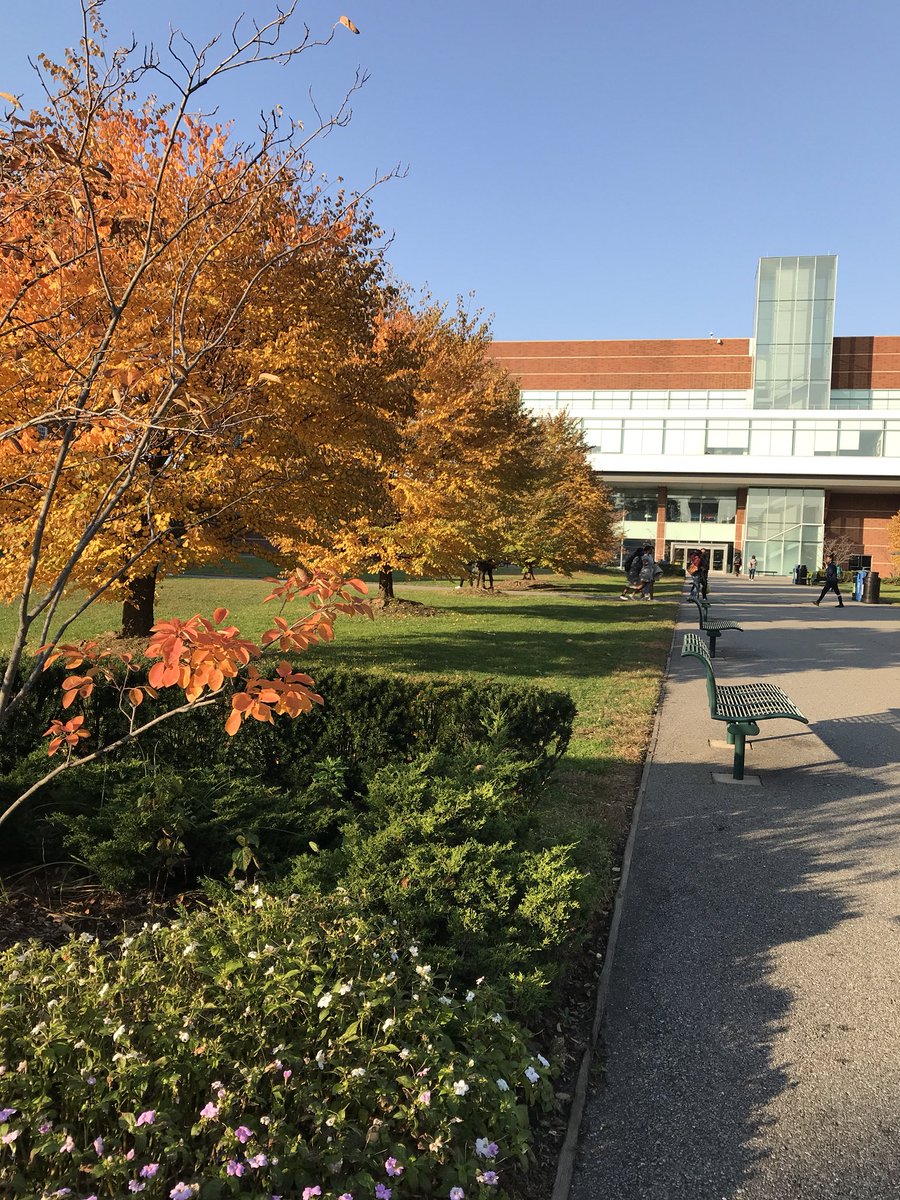 Good morning, BC! 🍂☀️#bcisbeautiful #bcfamily #brooklyncollege