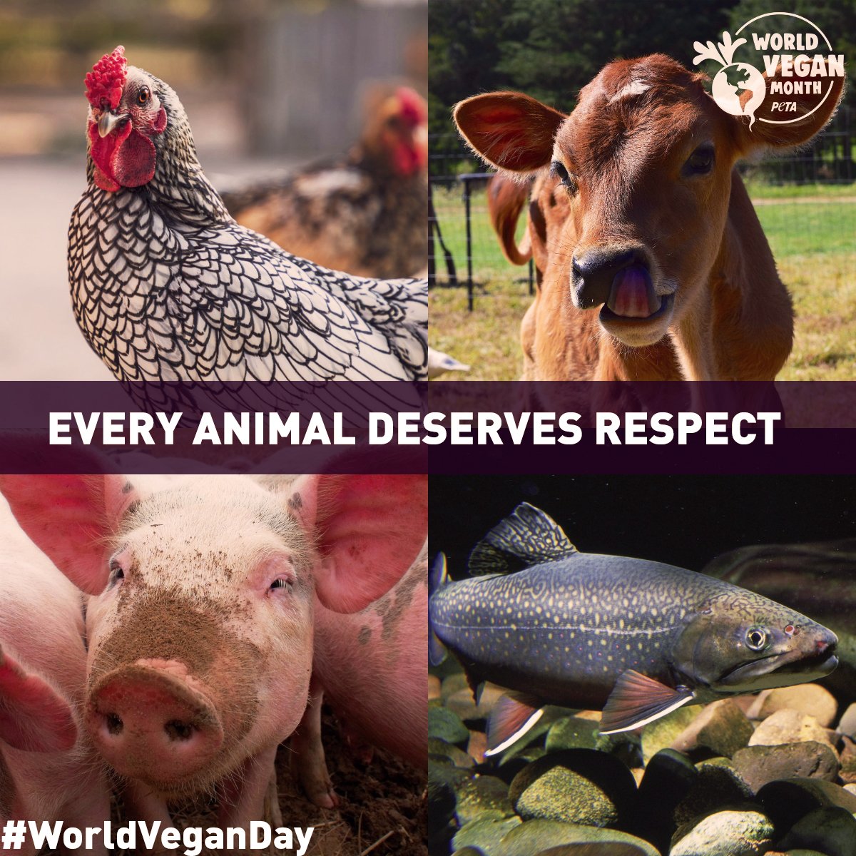 Today is #WorldVeganDay! 

Did you know that each vegan saves the lives of approximately 200 animals every year? ❤️