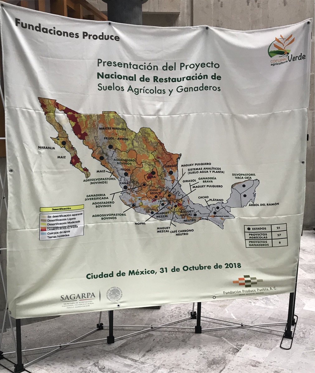FUPROTlaxcala's tweet photo. Presentación del Proyecto Nacional de Restauración de Suelos Agrícolas y Ganaderos.
Publicación en el periódico @Reforma https://t.co/WA54DNHHen