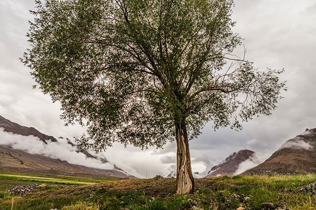 sandeepa's tweet photo. There's something so special about Spiti that sometimes even the clouds want to descend and spend some time here.

#HimachalSummer
#Instagram #IndiaPictures #storiesofindia #igramming_india #photographers_of_india #india_gram #indiaclicks #_soi  #stunnin… https://t.co/JHOyVdzTkx https://t.co/DKDb5b4RRb
