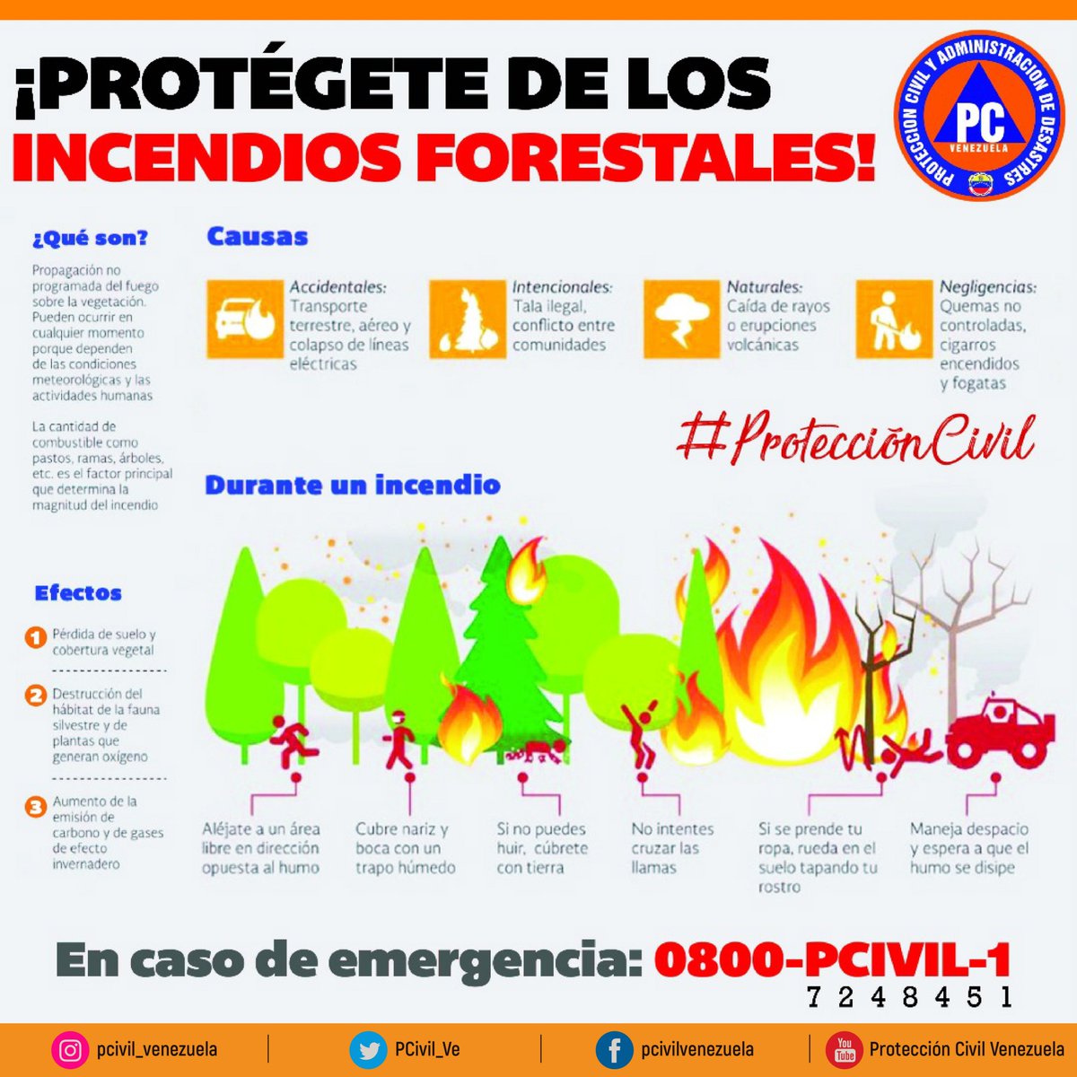 ¿Qué se debe de hacer en caso de un incendio forestal?  #VenezuelaGarantíaDeDDHH #25Sep #COVID__19