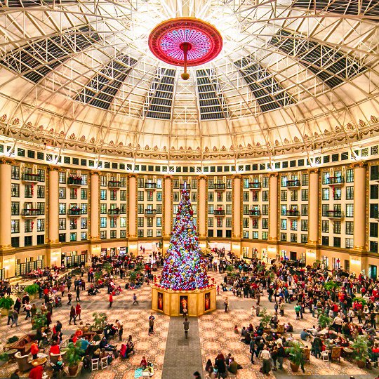 November is here! That means the holidays are right around the corner! Check out what's happening this month: conta.cc/2Q5JvBu