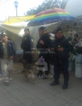 Ver imagen en Twitter