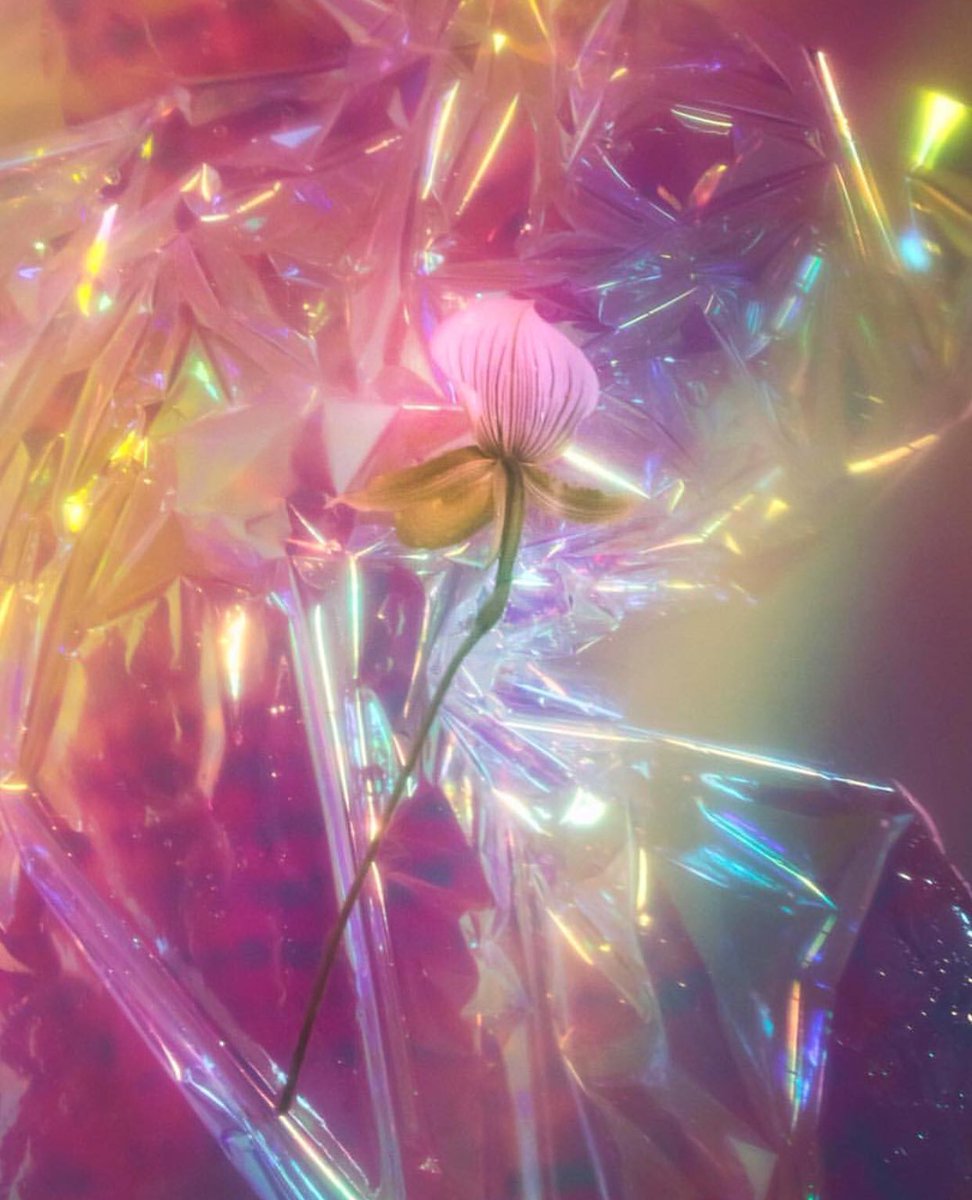 titlepress's tweet image. Iridescent Identity. Cover photo for ‘Important’ Magazine #1: Enlightenment Issue. Photographed by Becca Crawford. 

available online: bit.ly/2OQPjO3